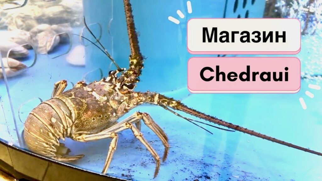 Супермаркет Chedraui — мексиканская сеть с местными продуктами