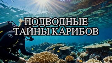 Переезд в Мексику: как избежать ошибок и адаптироваться?