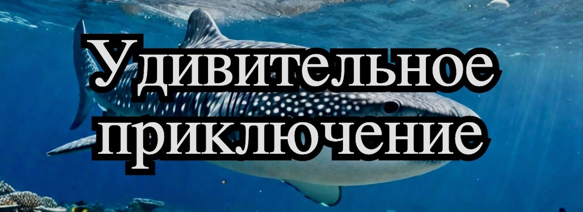 Китовая акула