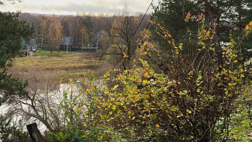 Панорамный вид на Москву-реку со смотровой площадки в Городке.