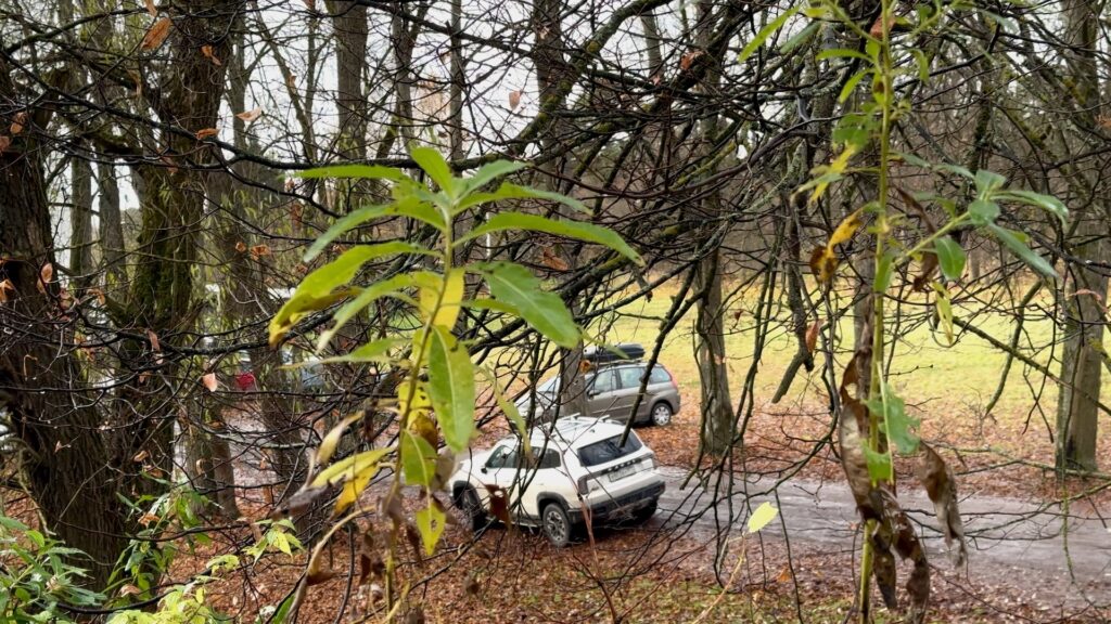 Машины за осенней листвой в Звенигороде, начало прогулки по монастырю