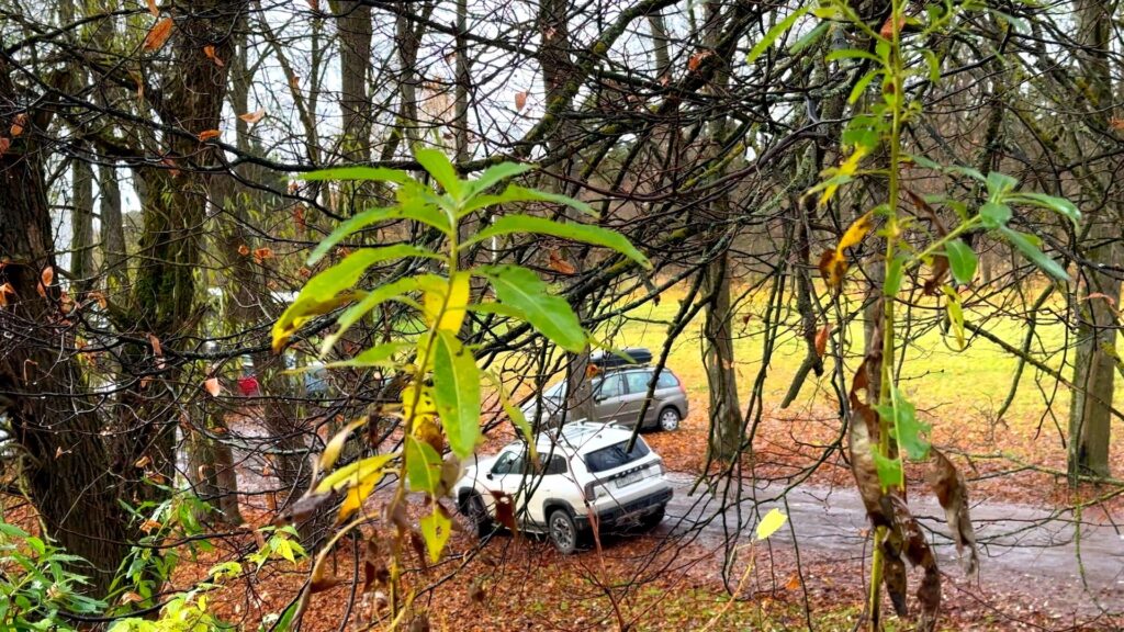 парковка возле Успенского собора осенью