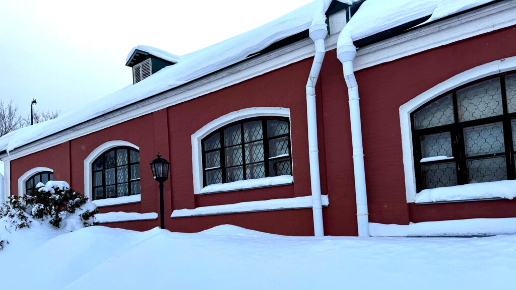 территория Троице-Сергиевой лавры зимой